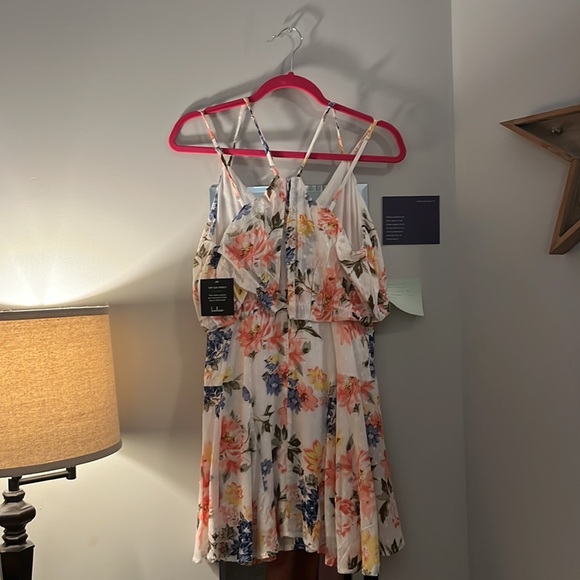 NWT Bouquet of Blooms Ivory Floral Print Clipped Dot Mini Dress - Picture 10 of 11